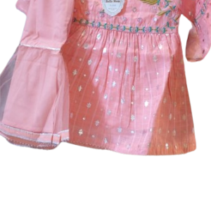 Fancy Lawn Frock